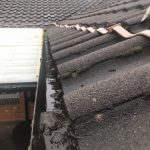 Partially Cleaned Gutter