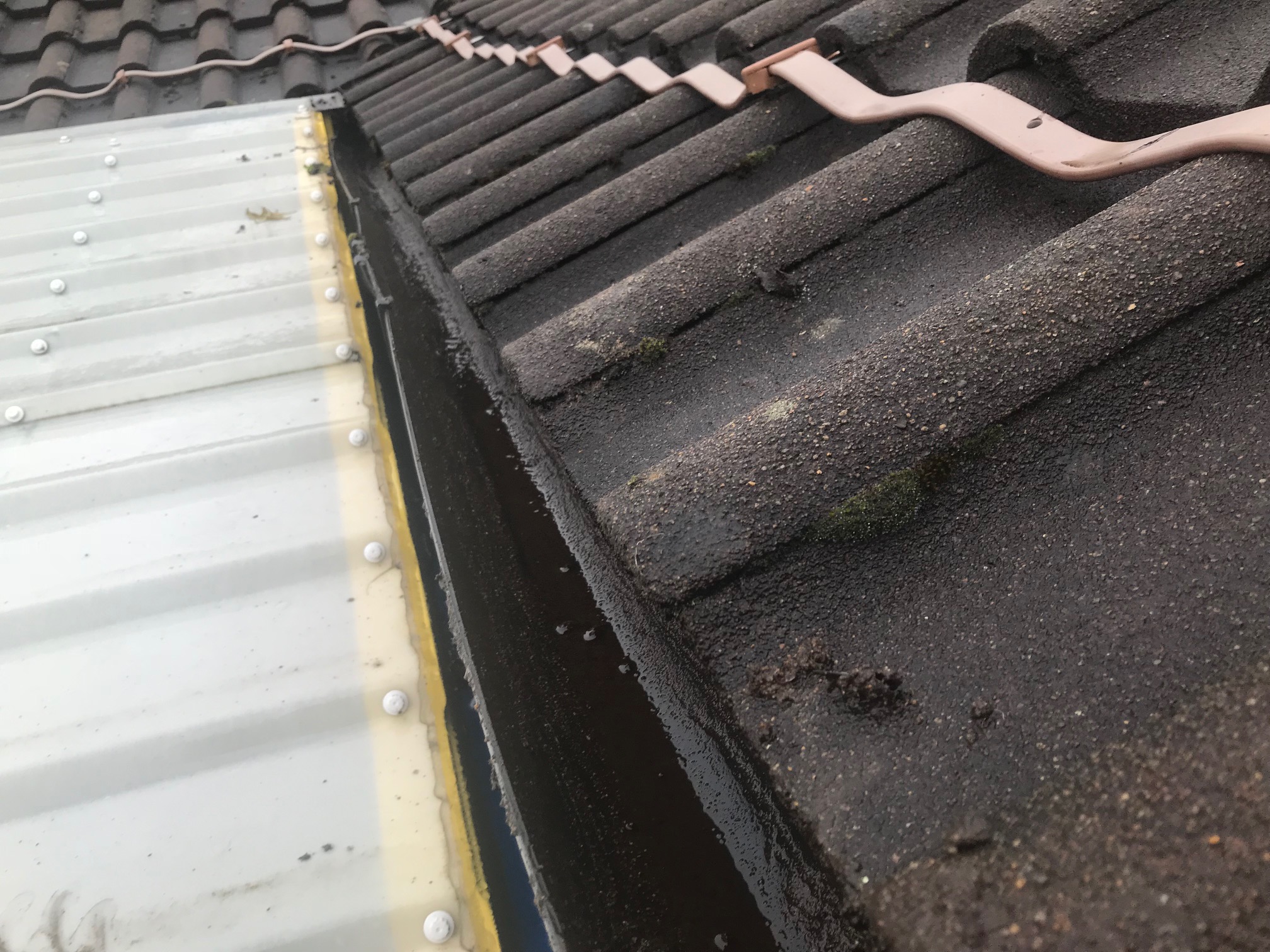 Cleaned Gutter