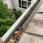 Gutter Cleaning - Before