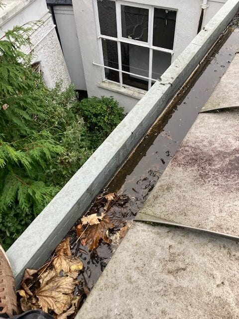 Gutter Cleaning - Before