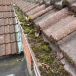 Gutter Cleaning