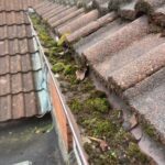 Gutter Cleaning – Before