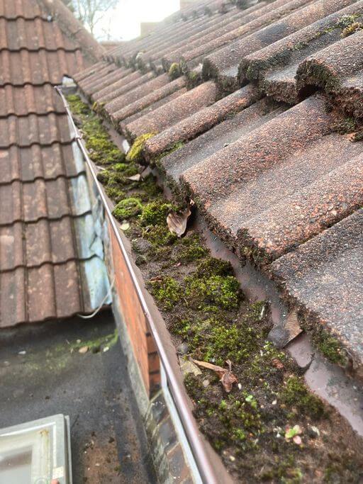 Gutter Cleaning – Before