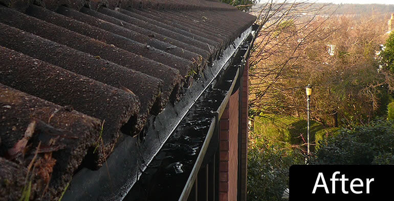 Why keep your gutters clean?